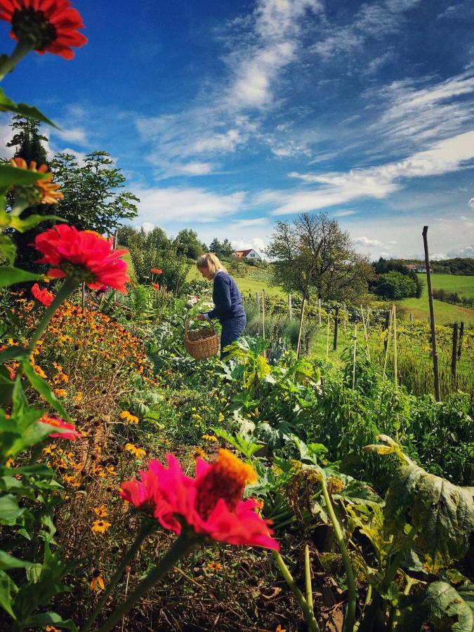 Maria Bild Landhaus Schaller Im Suedburgenland 아파트 외부 사진